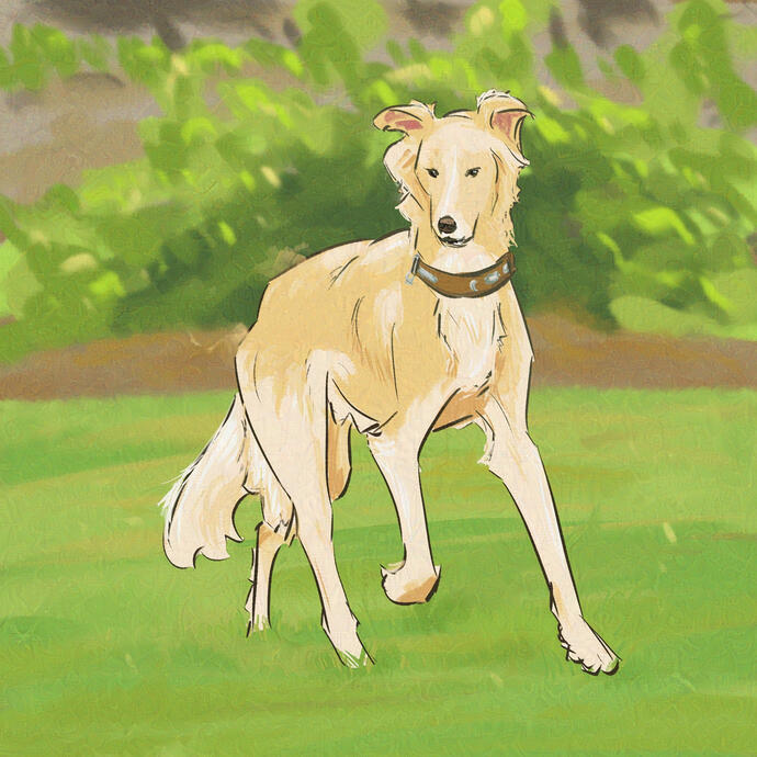 Vitae diam dignissim