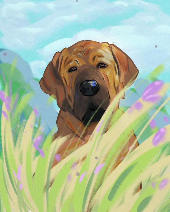 Efficitur faucibus vitae